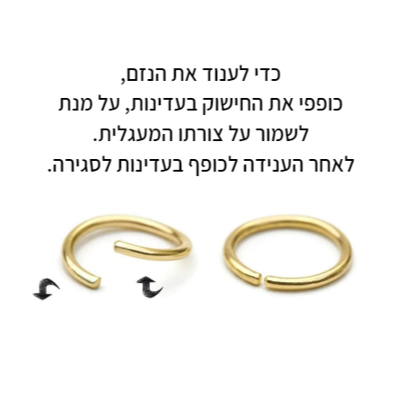 נזם חישוק לילי
