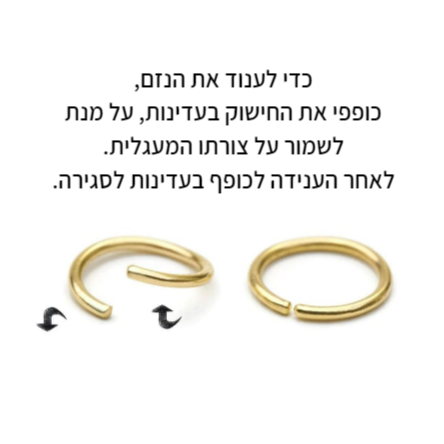 נזם חישוק נטלי