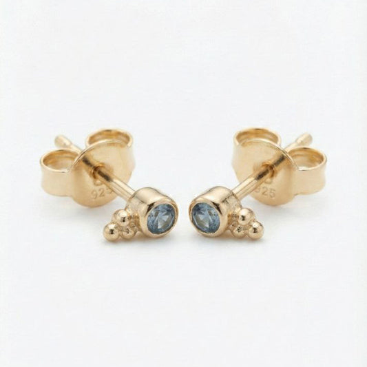 עגילי לברדור-לייט