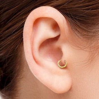 טראגוס חישוק לילי