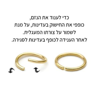 טראגוס חישוק נטלי